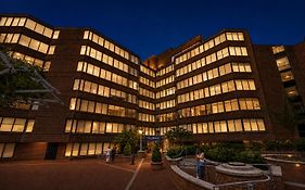 Global Luxury Suites At Georgetown
